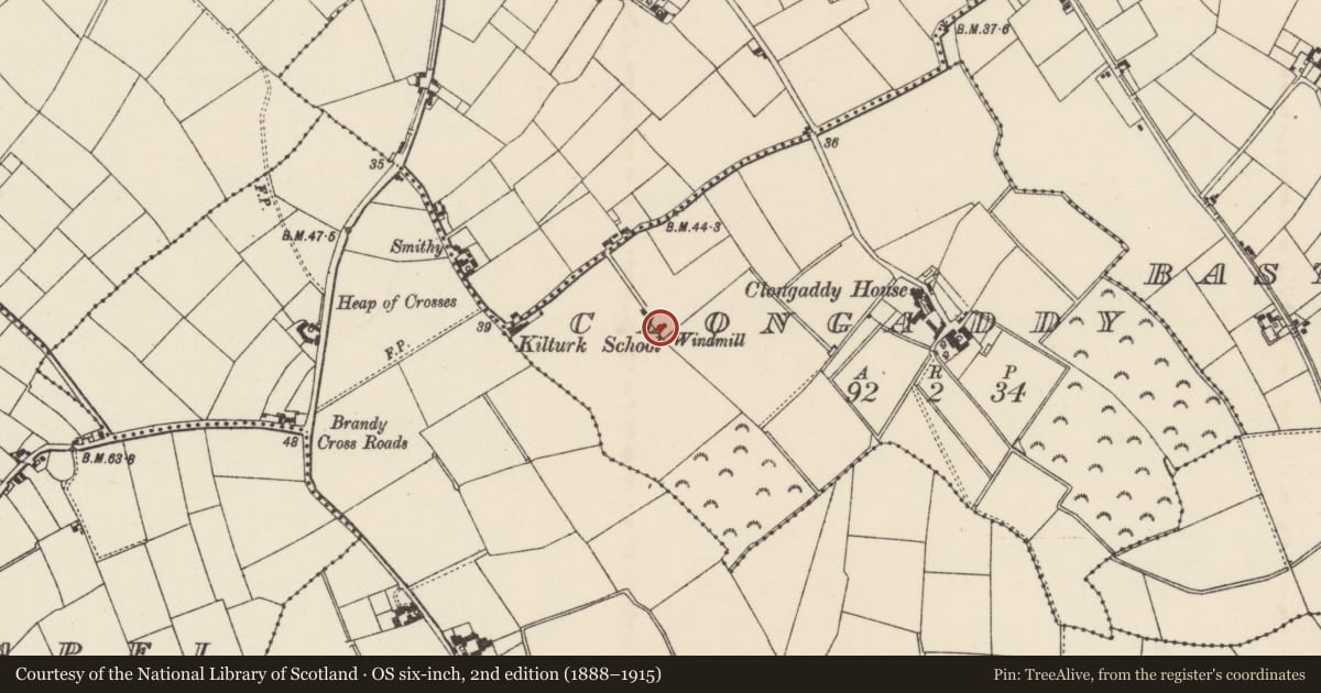 Ordnance Survey six-inch map, 2nd edition (1888–1915) covering the location of Windmill, Clongaddy, County Wexford, with a pin at the register's coordinates