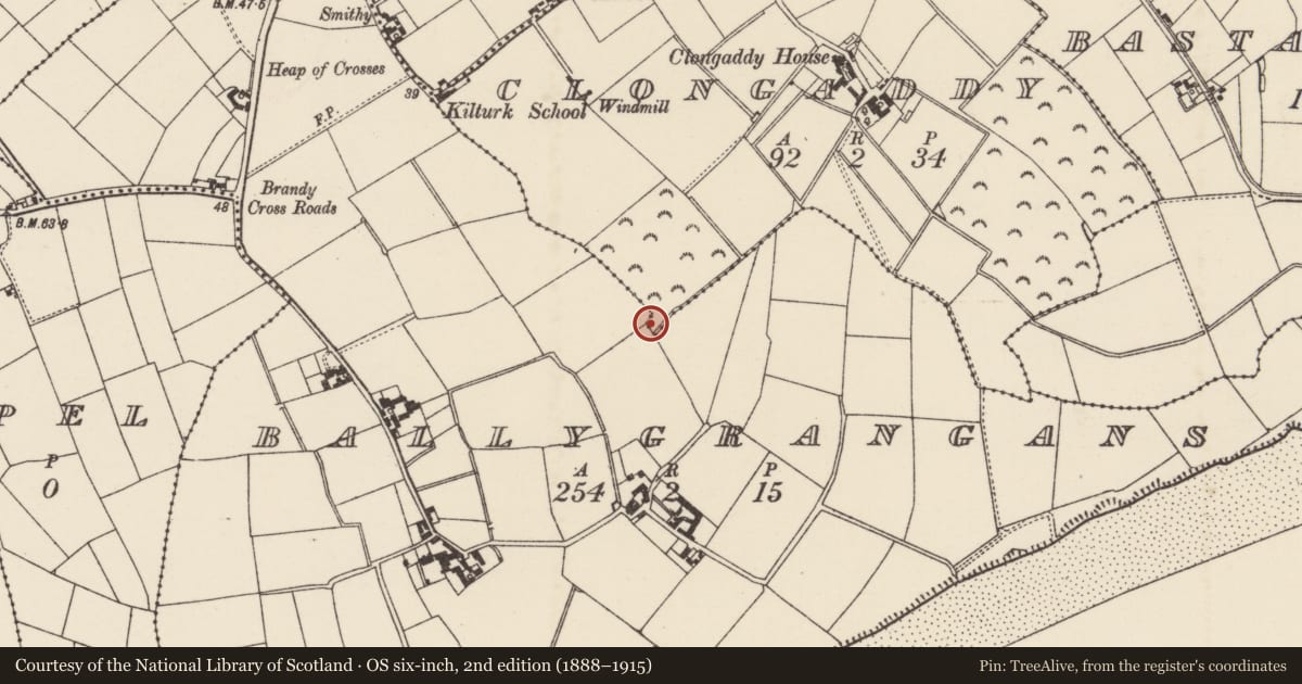 Ordnance Survey six-inch map, 2nd edition (1888–1915) covering the location of Quarry, Clongaddy, Ballygrangans, County Wexford, with a pin at the register's coordinates