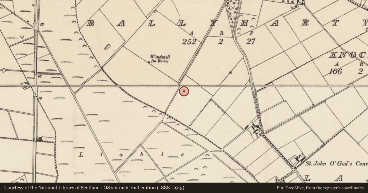 Ordnance Survey six-inch map, 2nd edition (1888–1915) covering the location of Enclosure, Ballyharty, County Wexford, with a pin at the register's coordinates