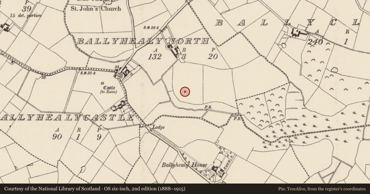 Ordnance Survey six-inch map, 2nd edition (1888–1915) covering the location of Ringfort - rath, Ballyhealy North, County Wexford, with a pin at the register's coordinates