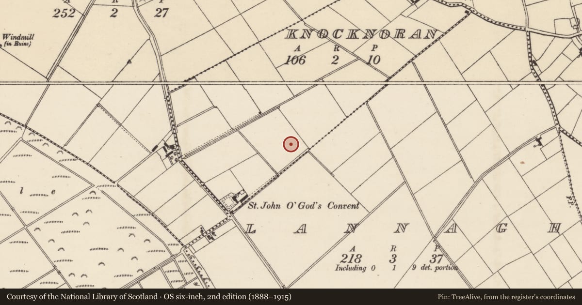 Ordnance Survey six-inch map, 2nd edition (1888–1915) covering the location of Ringfort - rath, Knocknoran, County Wexford, with a pin at the register's coordinates