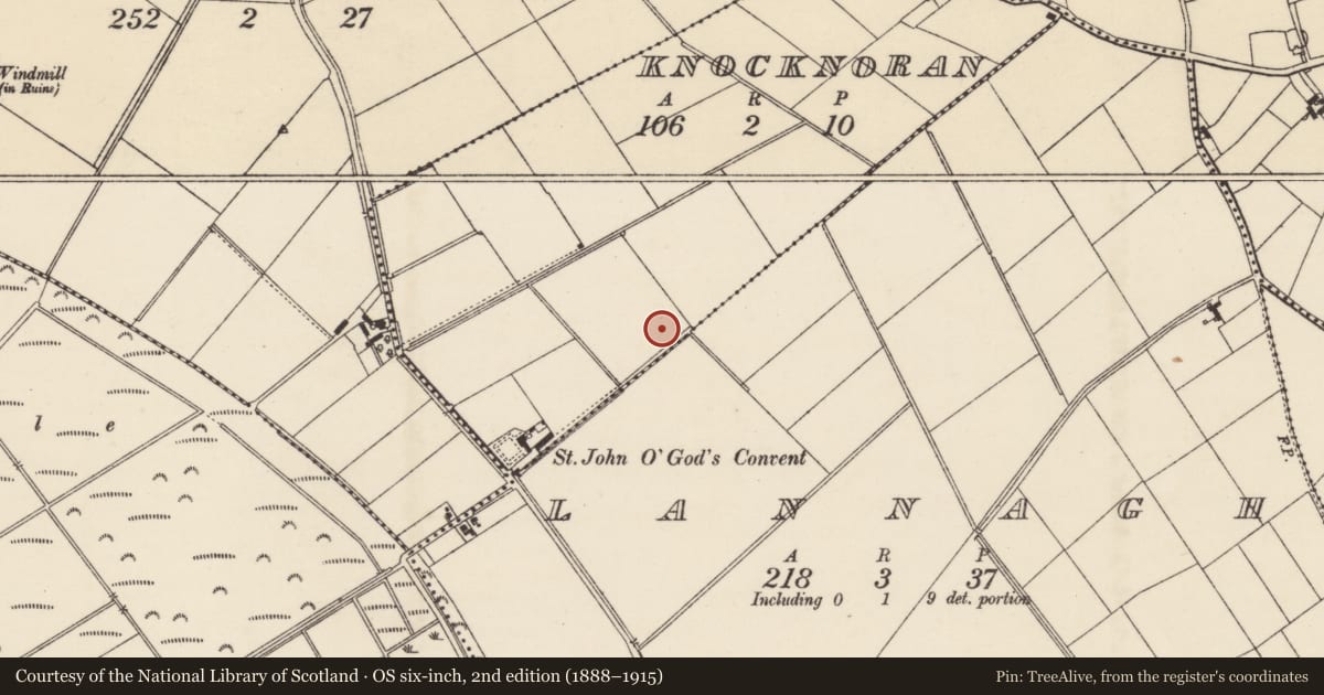 Ordnance Survey six-inch map, 2nd edition (1888–1915) covering the location of Enclosure, Knocknoran, County Wexford, with a pin at the register's coordinates