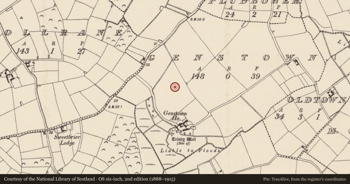 Ordnance Survey six-inch map, 2nd edition (1888–1915) covering the location of Concentric enclosure, Genstown, County Wexford, with a pin at the register's coordinates