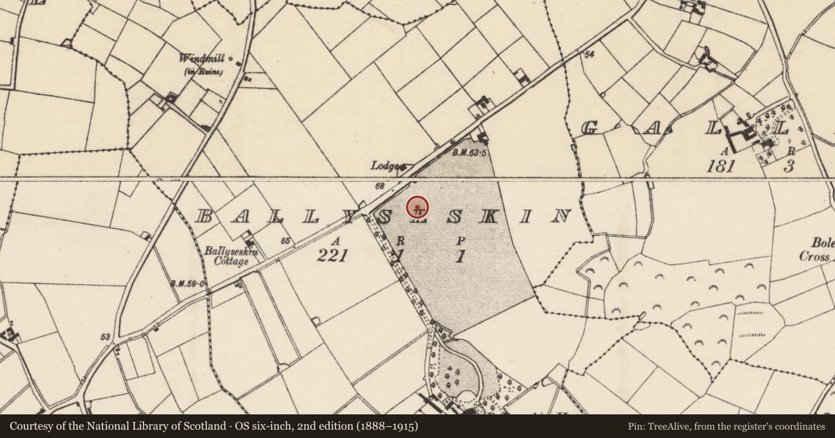 Ordnance Survey six-inch map, 2nd edition (1888–1915) covering the location of Ringfort - rath, Ballyseskin, County Wexford, with a pin at the register's coordinates