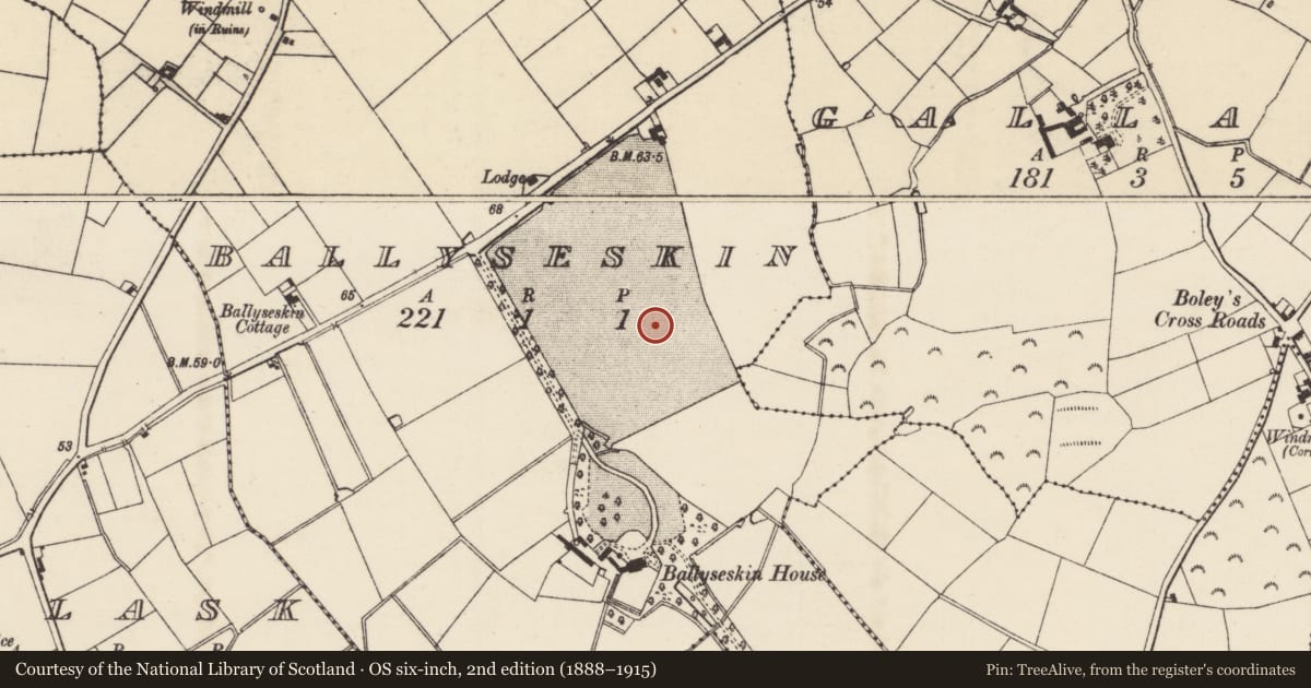 Ordnance Survey six-inch map, 2nd edition (1888–1915) covering the location of Enclosure, Ballyseskin, County Wexford, with a pin at the register's coordinates