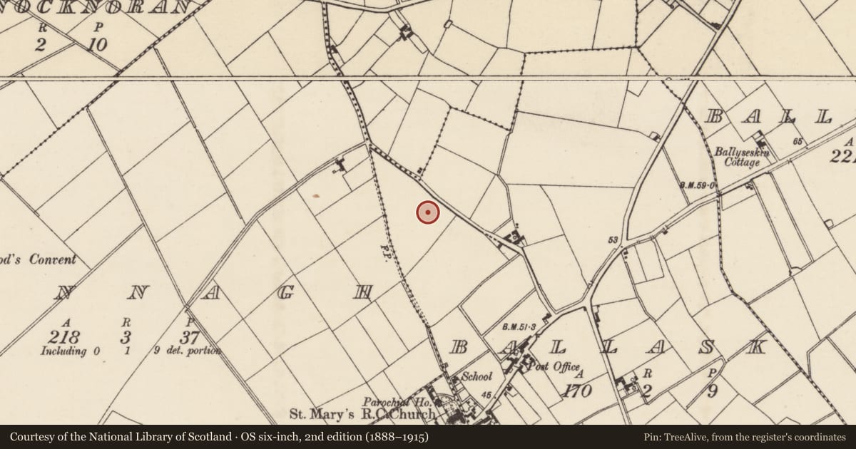 Ordnance Survey six-inch map, 2nd edition (1888–1915) covering the location of Ringfort - rath, Ballask, County Wexford, with a pin at the register's coordinates