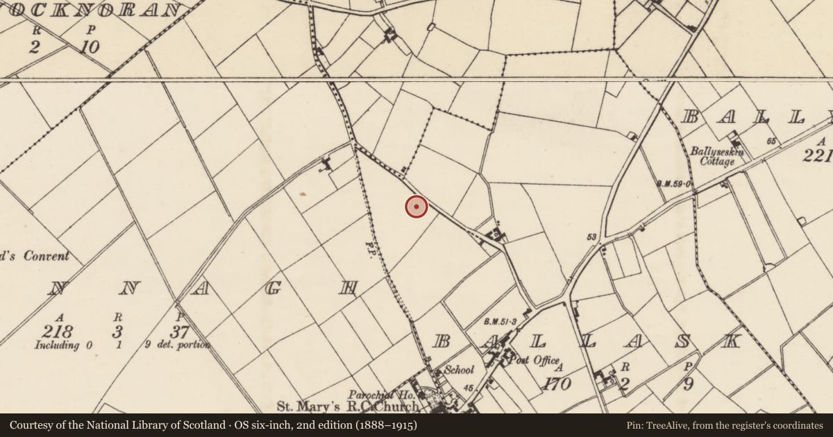 Ordnance Survey six-inch map, 2nd edition (1888–1915) covering the location of Ring-ditch, Ballask, County Wexford, with a pin at the register's coordinates