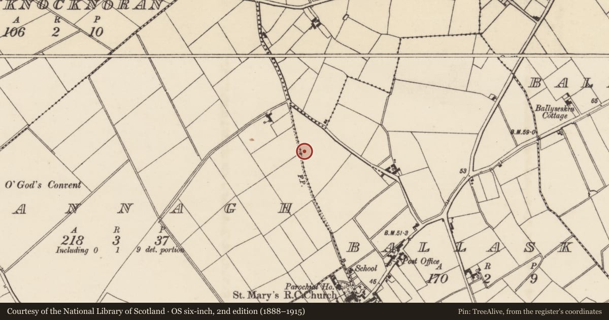 Ordnance Survey six-inch map, 2nd edition (1888–1915) covering the location of Ring-ditch, Ballask, County Wexford, with a pin at the register's coordinates