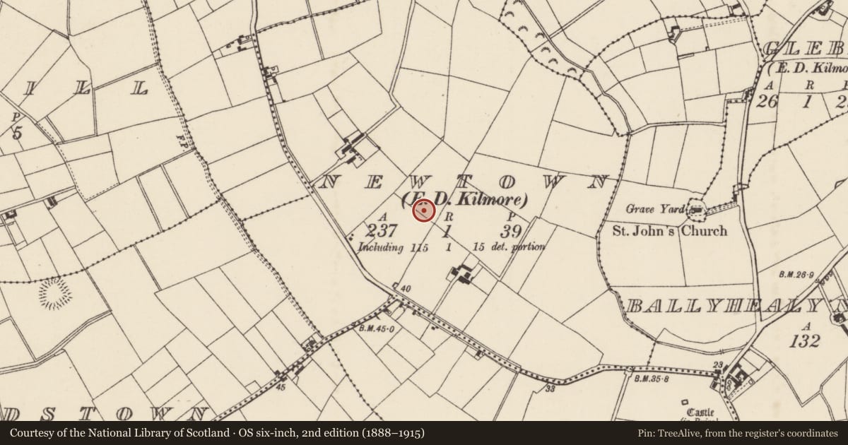 Ordnance Survey six-inch map, 2nd edition (1888–1915) covering the location of Enclosure, Newtown, County Wexford, with a pin at the register's coordinates