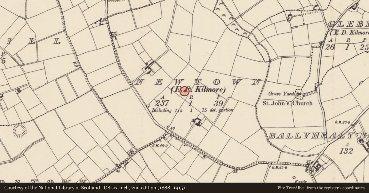 Ordnance Survey six-inch map, 2nd edition (1888–1915) covering the location of Enclosure, Newtown, County Wexford, with a pin at the register's coordinates