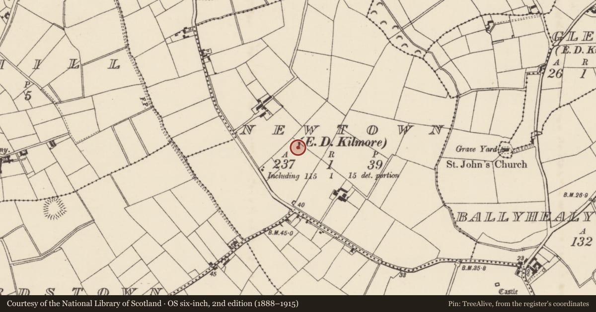Ordnance Survey six-inch map, 2nd edition (1888–1915) covering the location of Enclosure, Newtown, County Wexford, with a pin at the register's coordinates