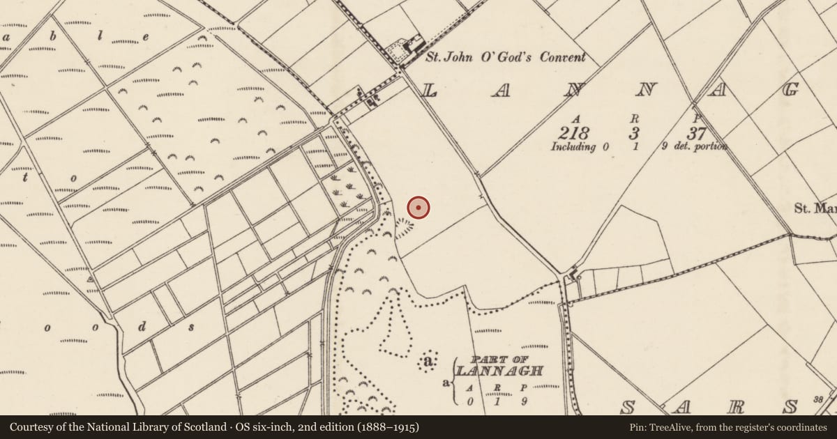 Ordnance Survey six-inch map, 2nd edition (1888–1915) covering the location of Ring-ditch, Lannagh, County Wexford, with a pin at the register's coordinates