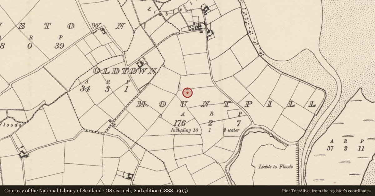 Ordnance Survey six-inch map, 2nd edition (1888–1915) covering the location of Enclosure, Mountpill, County Wexford, with a pin at the register's coordinates