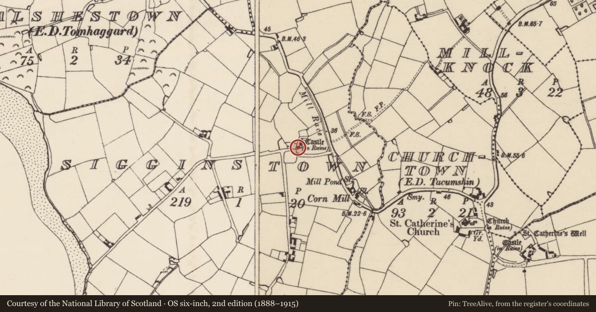 Ordnance Survey six-inch map, 2nd edition (1888–1915) covering the location of Castle - tower house, Sigginstown, County Wexford, with a pin at the register's coordinates