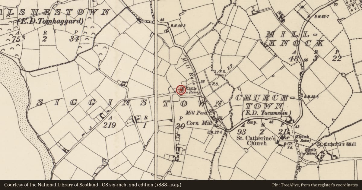 Ordnance Survey six-inch map, 2nd edition (1888–1915) covering the location of House - 17th century, Sigginstown, County Wexford, with a pin at the register's coordinates