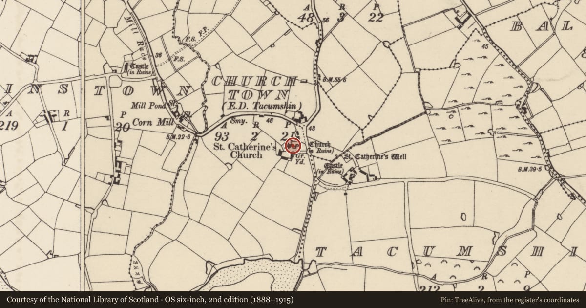 Ordnance Survey six-inch map, 2nd edition (1888–1915) covering the location of Bullaun stone, Churchtown, County Wexford, with a pin at the register's coordinates