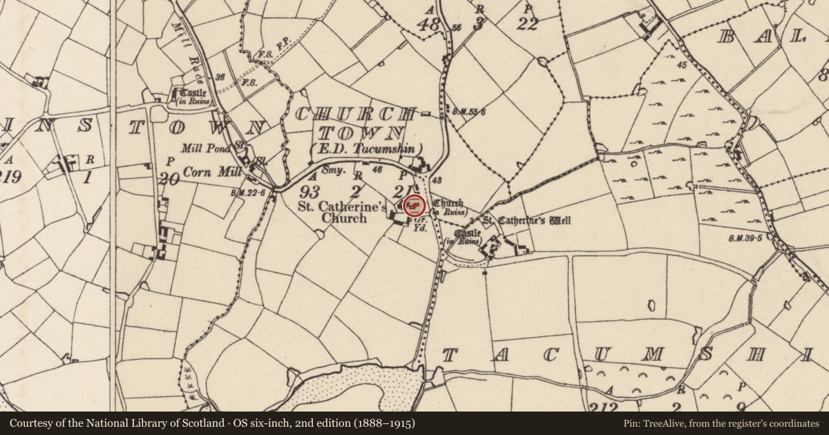 Ordnance Survey six-inch map, 2nd edition (1888–1915) covering the location of Graveslab, Churchtown, County Wexford, with a pin at the register's coordinates