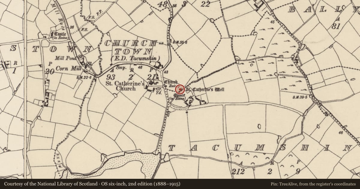 Ordnance Survey six-inch map, 2nd edition (1888–1915) covering the location of Ritual site - holy well, Churchtown, County Wexford, with a pin at the register's coordinates