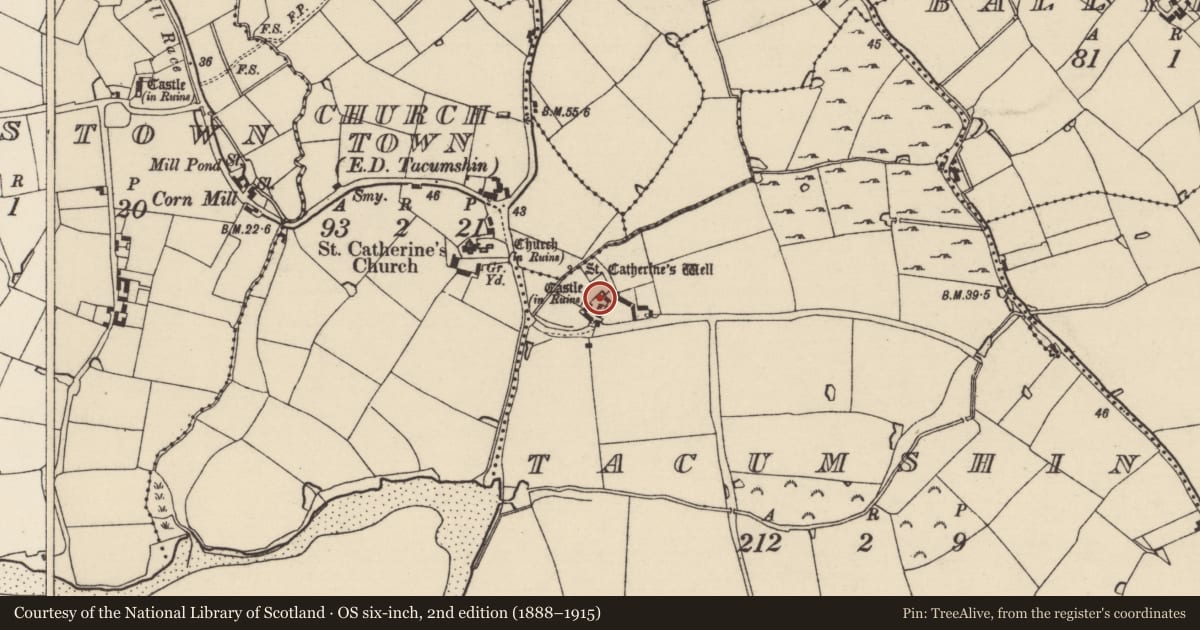 Ordnance Survey six-inch map, 2nd edition (1888–1915) covering the location of Castle - tower house, Tacumshin, County Wexford, with a pin at the register's coordinates