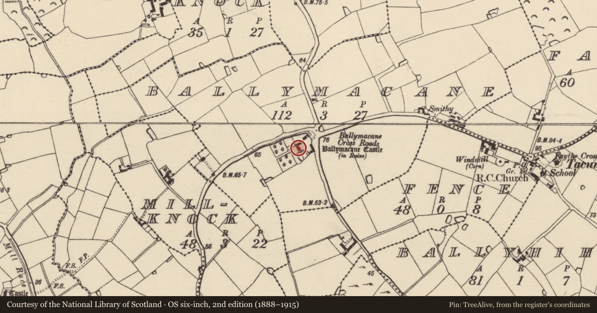 Ordnance Survey six-inch map, 2nd edition (1888–1915) covering the location of Castle - unclassified, Ballymacane, County Wexford, with a pin at the register's coordinates
