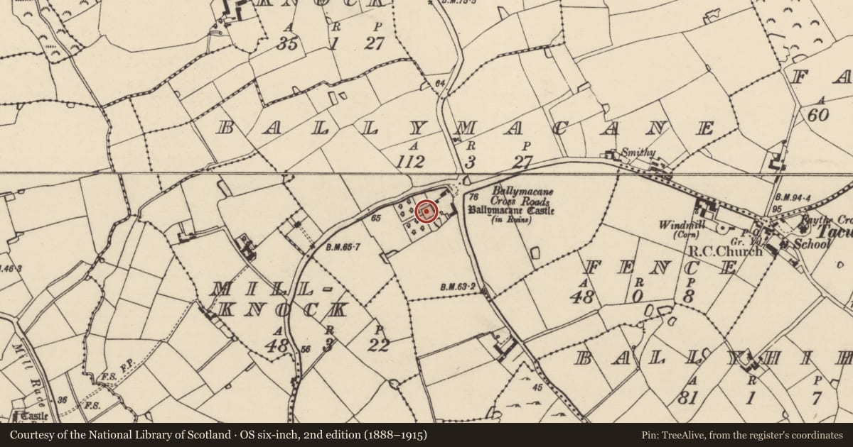 Ordnance Survey six-inch map, 2nd edition (1888–1915) covering the location of Bawn, Ballymacane, County Wexford, with a pin at the register's coordinates