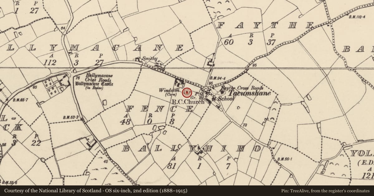 Ordnance Survey six-inch map, 2nd edition (1888–1915) covering the location of Windmill, Fence, County Wexford, with a pin at the register's coordinates