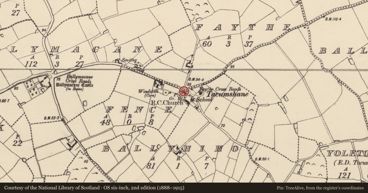 Ordnance Survey six-inch map, 2nd edition (1888–1915) covering the location of Bullaun stone, Fence, County Wexford, with a pin at the register's coordinates
