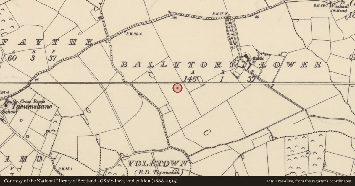 Ordnance Survey six-inch map, 2nd edition (1888–1915) covering the location of Ringfort - rath, Ballytory Lower, County Wexford, with a pin at the register's coordinates