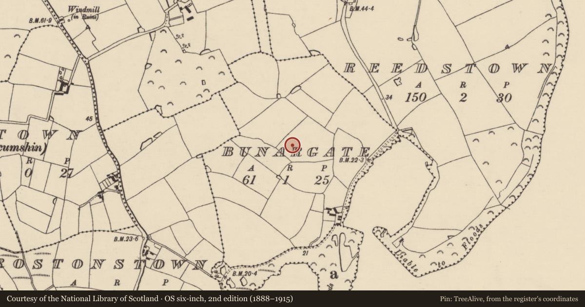 Ordnance Survey six-inch map, 2nd edition (1888–1915) covering the location of Enclosure, Bunargate, County Wexford, with a pin at the register's coordinates