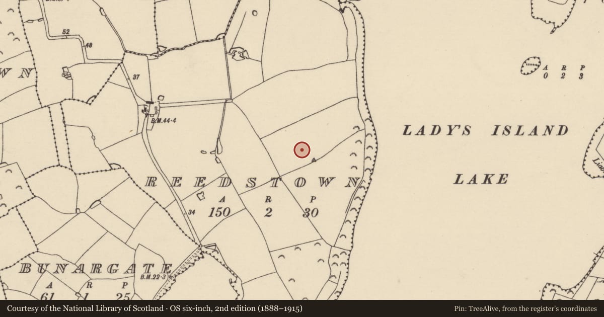 Ordnance Survey six-inch map, 2nd edition (1888–1915) covering the location of Field system, Reedstown, County Wexford, with a pin at the register's coordinates