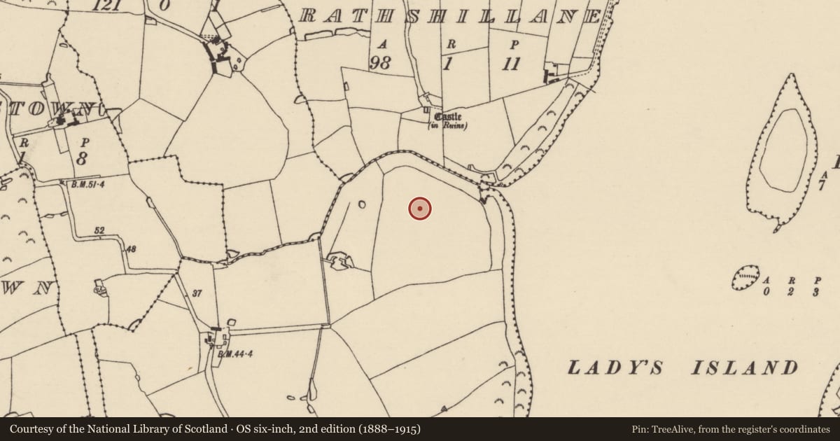 Ordnance Survey six-inch map, 2nd edition (1888–1915) covering the location of Ringfort - rath, Reedstown, County Wexford, with a pin at the register's coordinates
