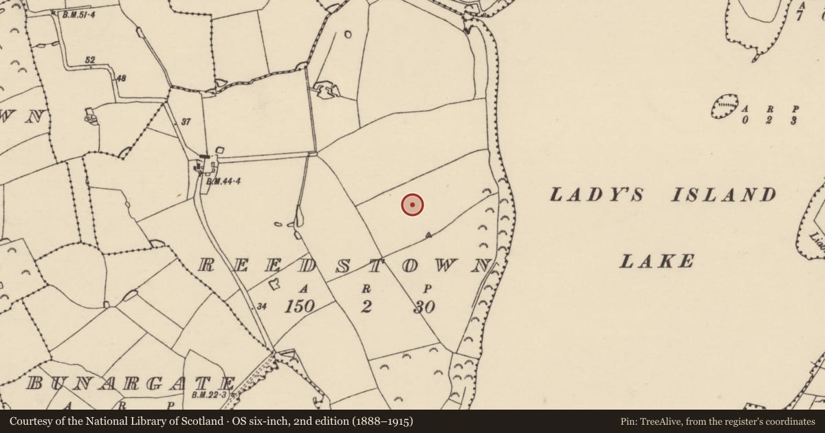 Ordnance Survey six-inch map, 2nd edition (1888–1915) covering the location of Ring-ditch, Reedstown, County Wexford, with a pin at the register's coordinates