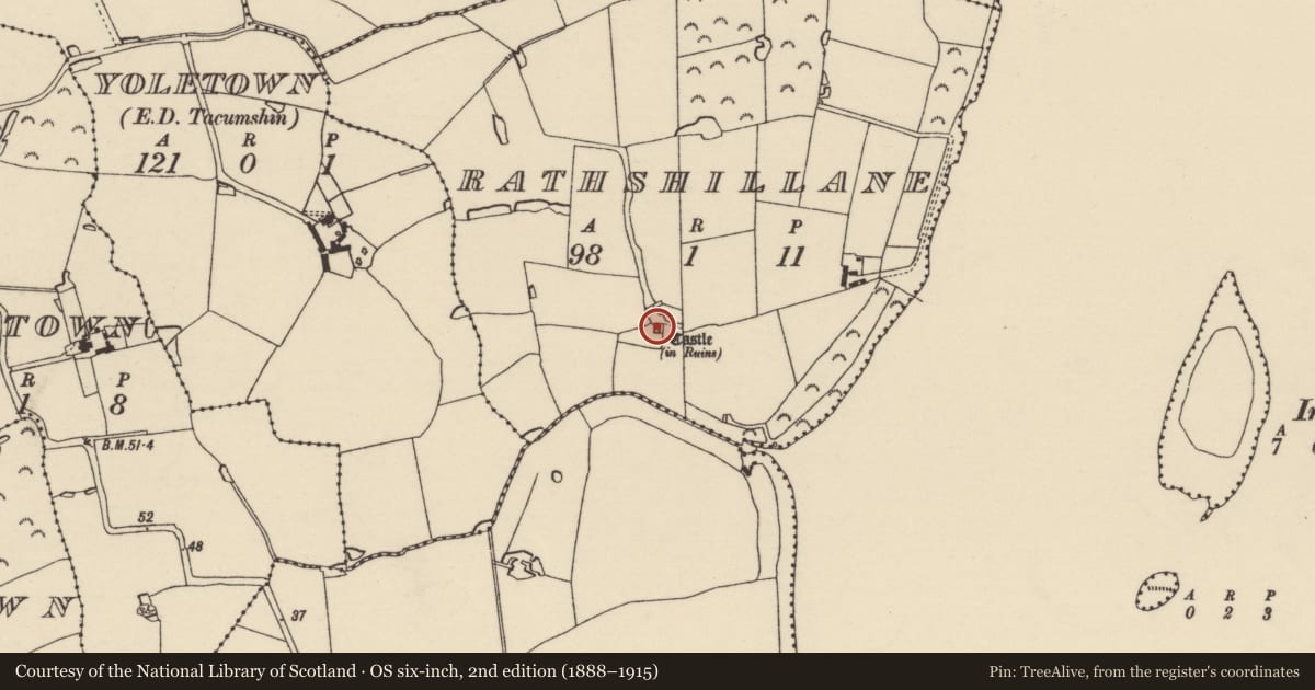 Ordnance Survey six-inch map, 2nd edition (1888–1915) covering the location of House - fortified house, Rathshillane, County Wexford, with a pin at the register's coordinates