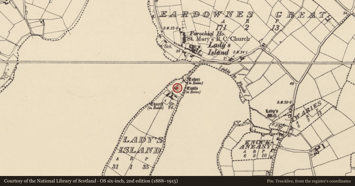 Ordnance Survey six-inch map, 2nd edition (1888–1915) covering the location of Castle - tower house, Lady'S Island, County Wexford, with a pin at the register's coordinates