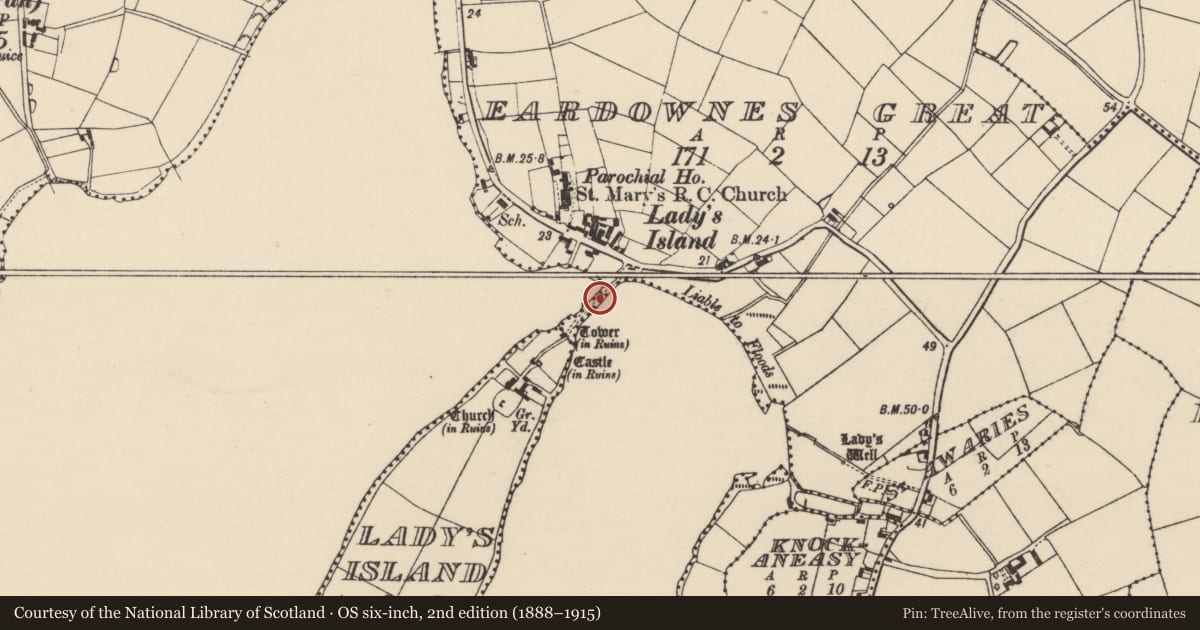 Ordnance Survey six-inch map, 2nd edition (1888–1915) covering the location of Causeway, Lady'S Island, County Wexford, with a pin at the register's coordinates