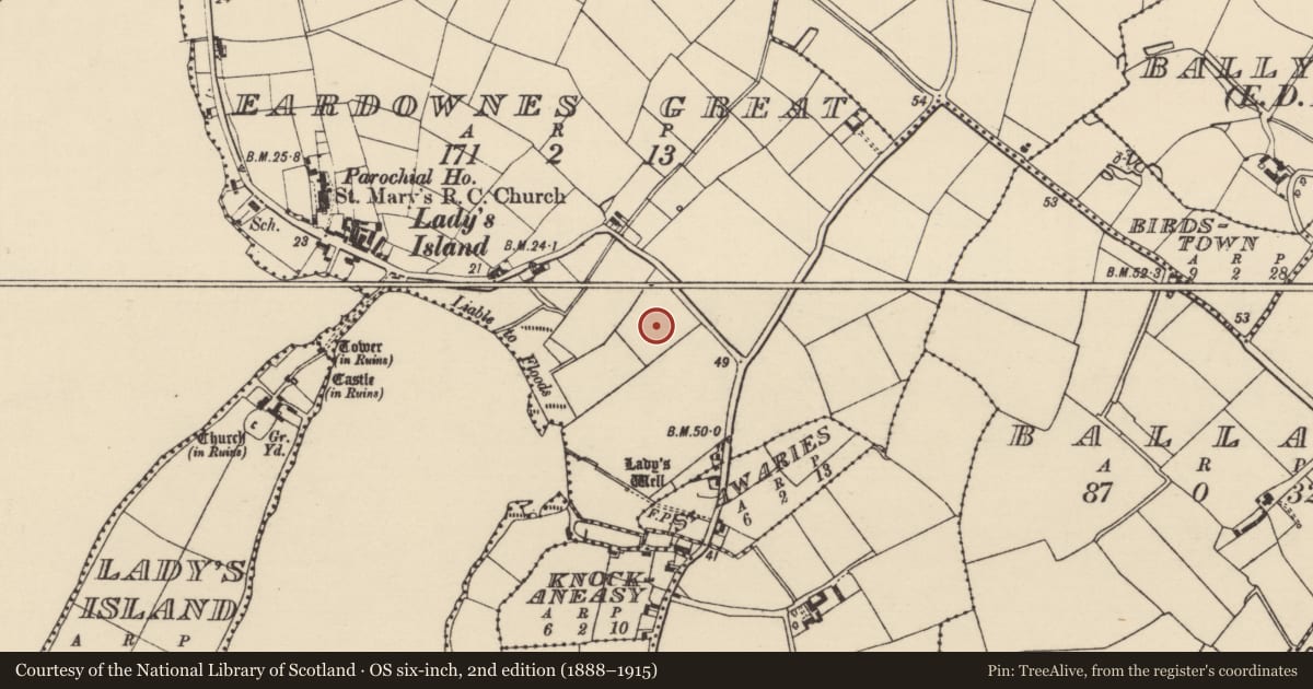 Ordnance Survey six-inch map, 2nd edition (1888–1915) covering the location of Cist, Eardownes Great, County Wexford, with a pin at the register's coordinates