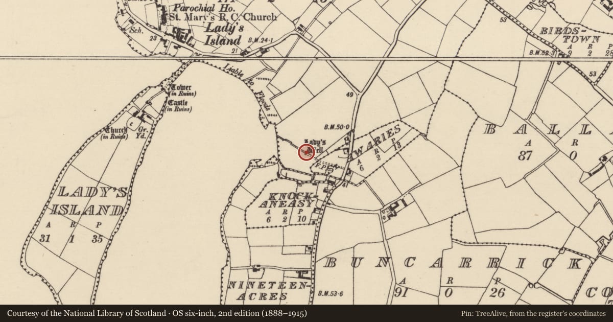 Ordnance Survey six-inch map, 2nd edition (1888–1915) covering the location of Ritual site - holy well, Eardownes Great, County Wexford, with a pin at the register's coordinates