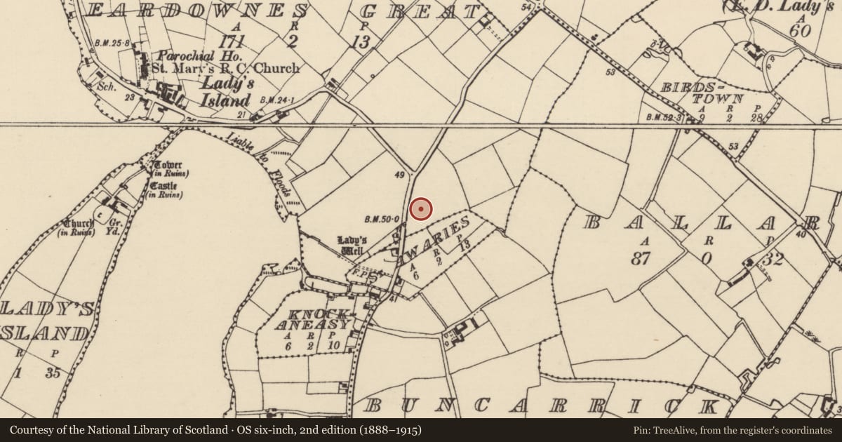 Ordnance Survey six-inch map, 2nd edition (1888–1915) covering the location of Standing stone, Eardownes Great, County Wexford, with a pin at the register's coordinates