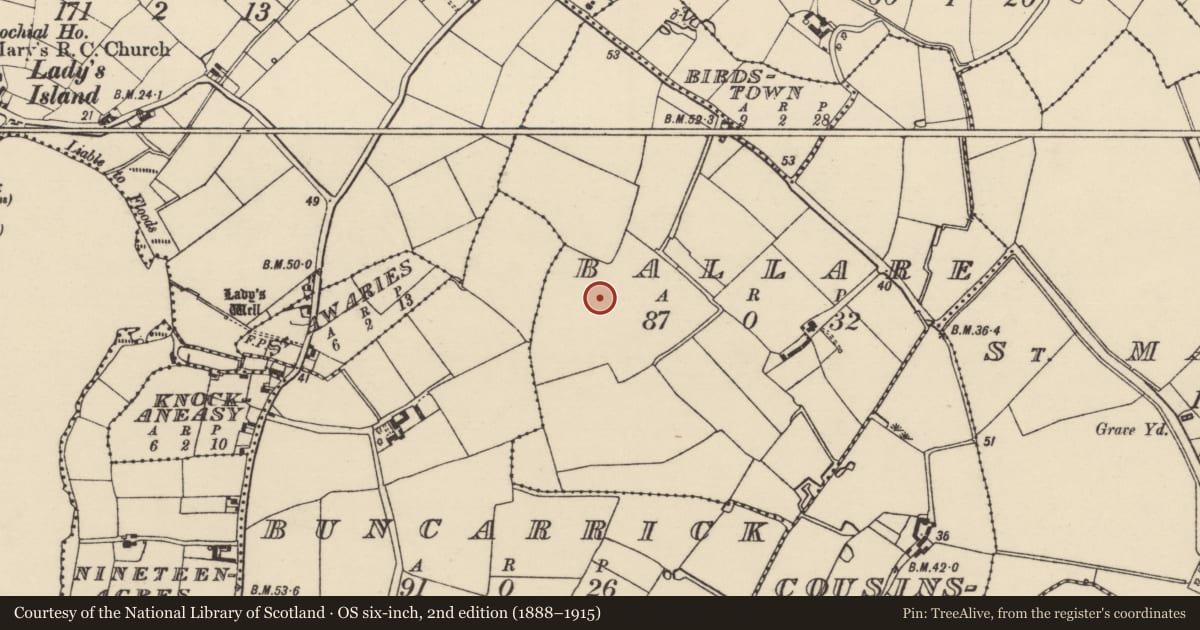 Ordnance Survey six-inch map, 2nd edition (1888–1915) covering the location of Enclosure, Ballare, County Wexford, with a pin at the register's coordinates