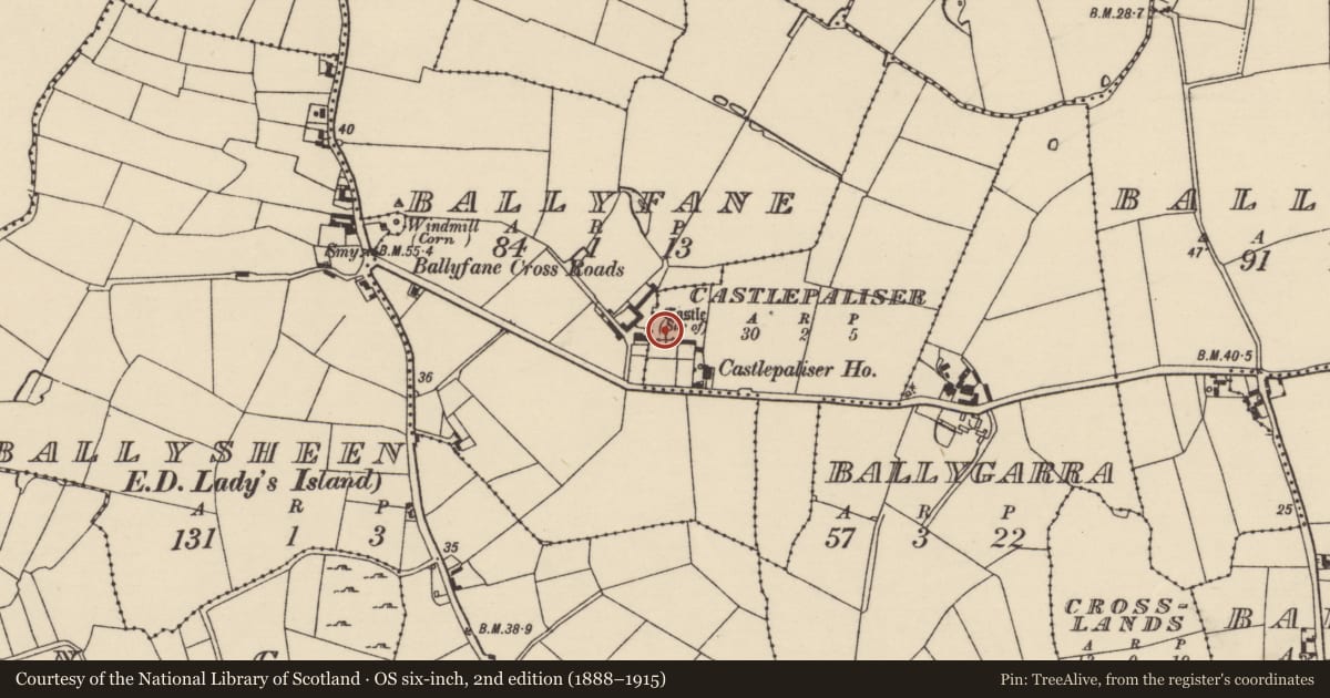 Ordnance Survey six-inch map, 2nd edition (1888–1915) covering the location of Castle - unclassified, Castlepaliser, County Wexford, with a pin at the register's coordinates