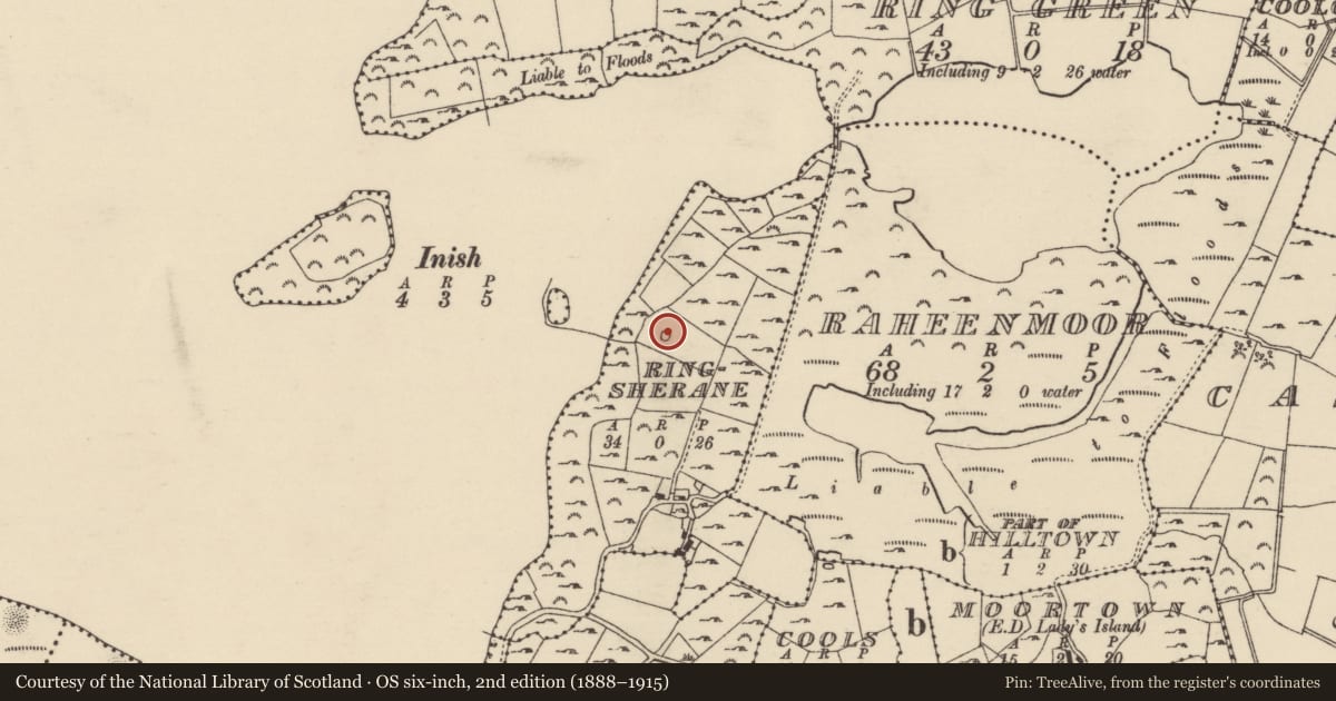 Ordnance Survey six-inch map, 2nd edition (1888–1915) covering the location of Barrow - unclassified, Ringsherane, County Wexford, with a pin at the register's coordinates