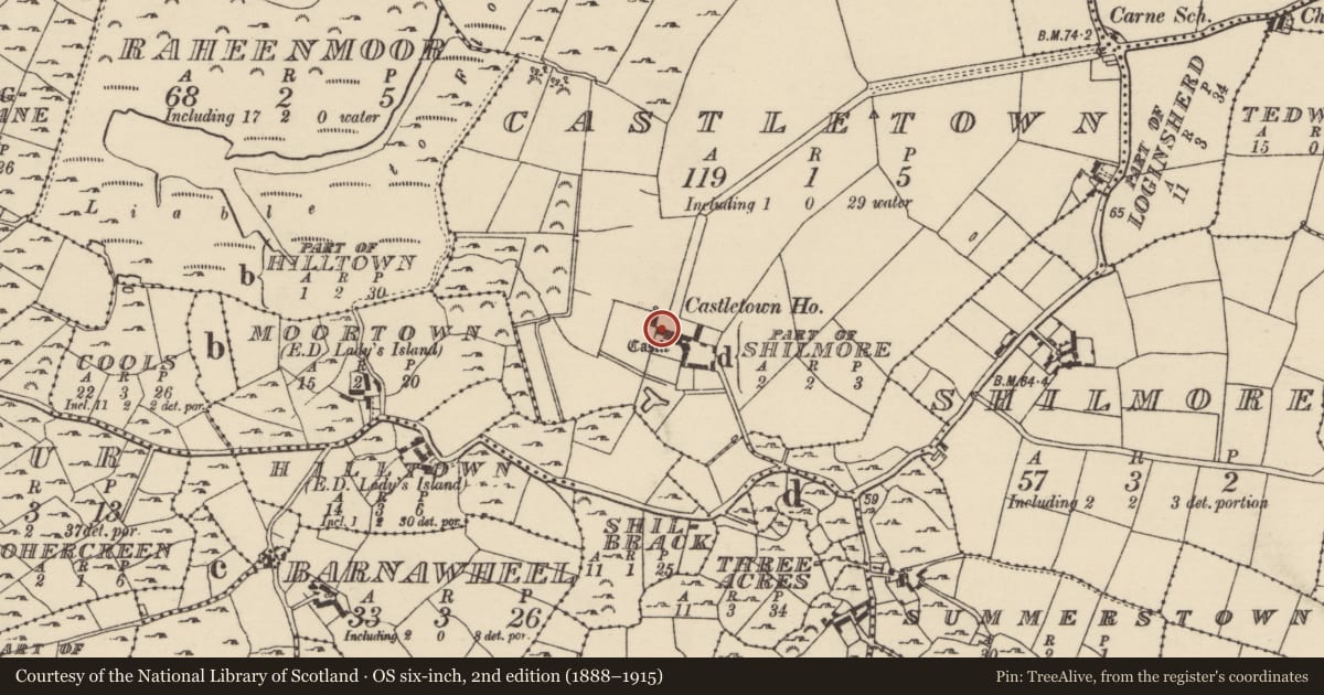 Ordnance Survey six-inch map, 2nd edition (1888–1915) covering the location of Castle - tower house, Castletown, County Wexford, with a pin at the register's coordinates