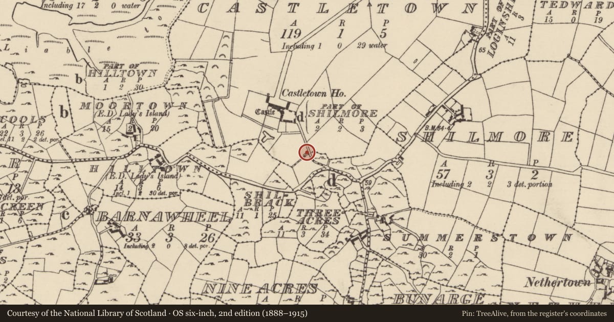 Ordnance Survey six-inch map, 2nd edition (1888–1915) covering the location of Chapel, Castletown, County Wexford, with a pin at the register's coordinates