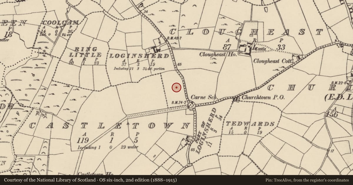 Ordnance Survey six-inch map, 2nd edition (1888–1915) covering the location of Standing stone, Loginsherd, County Wexford, with a pin at the register's coordinates
