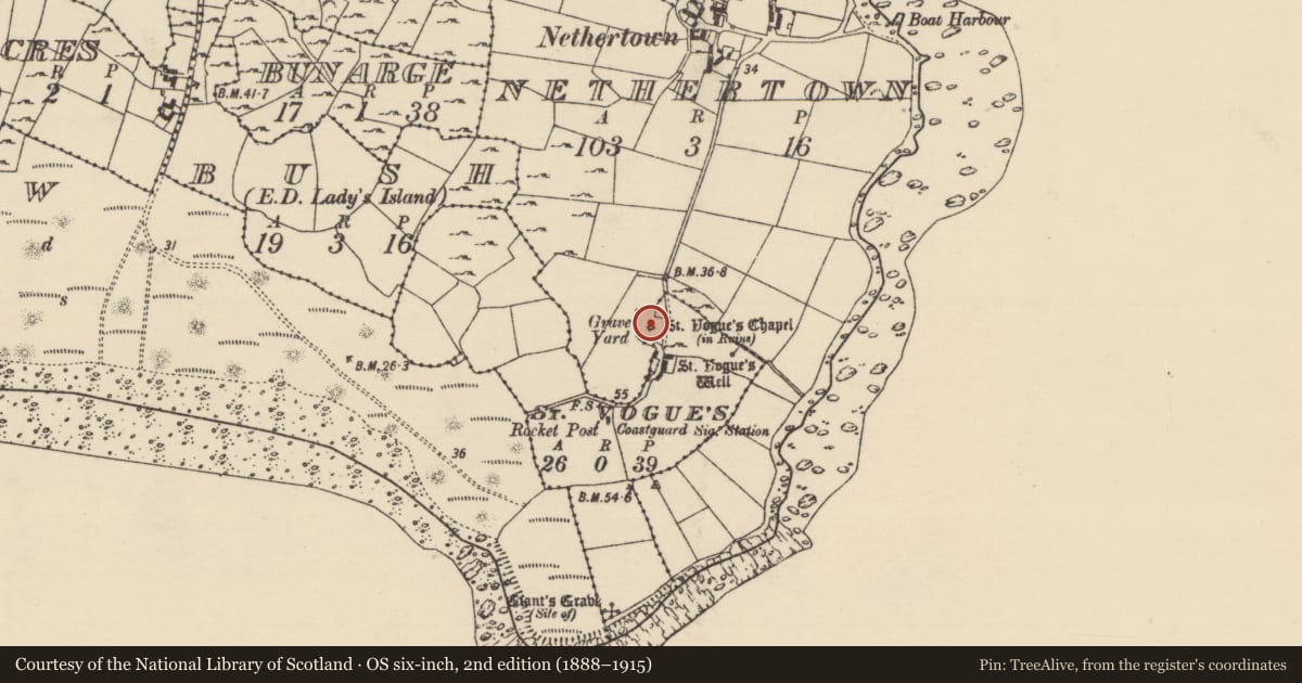 Ordnance Survey six-inch map, 2nd edition (1888–1915) covering the location of Church, St. Vogue'S, County Wexford, with a pin at the register's coordinates