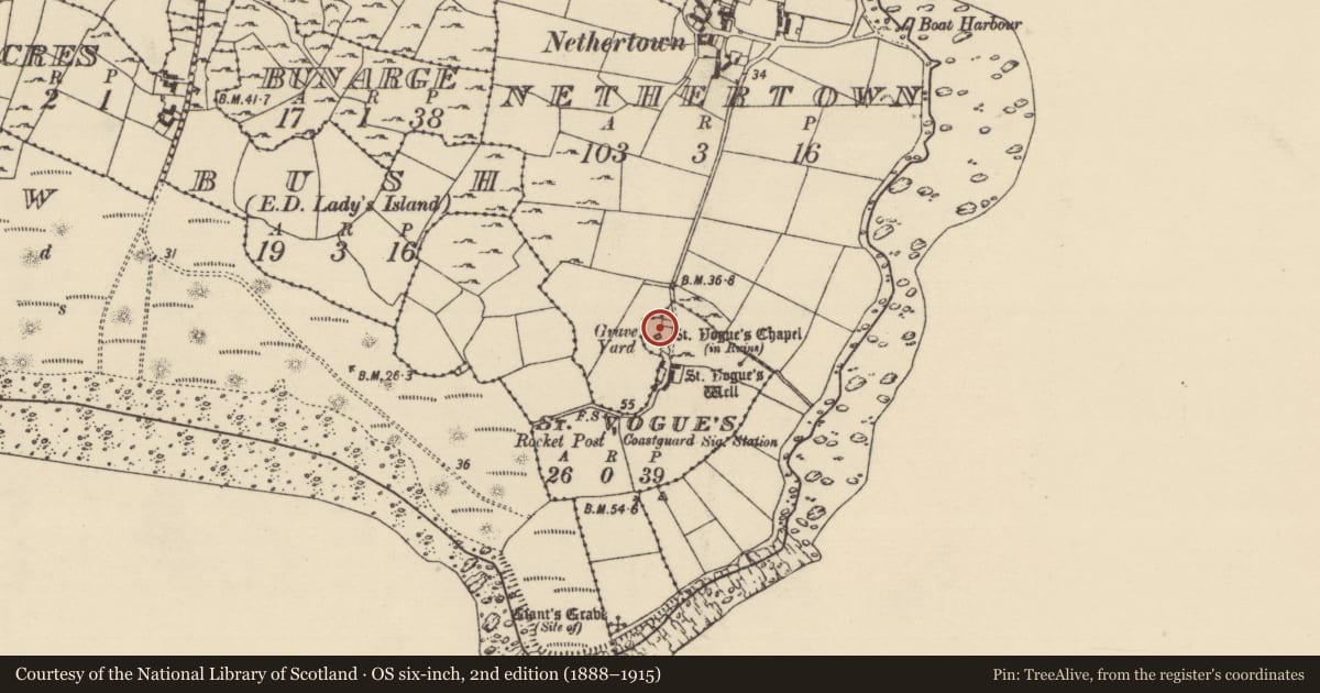 Ordnance Survey six-inch map, 2nd edition (1888–1915) covering the location of Graveyard, St. Vogue'S, County Wexford, with a pin at the register's coordinates