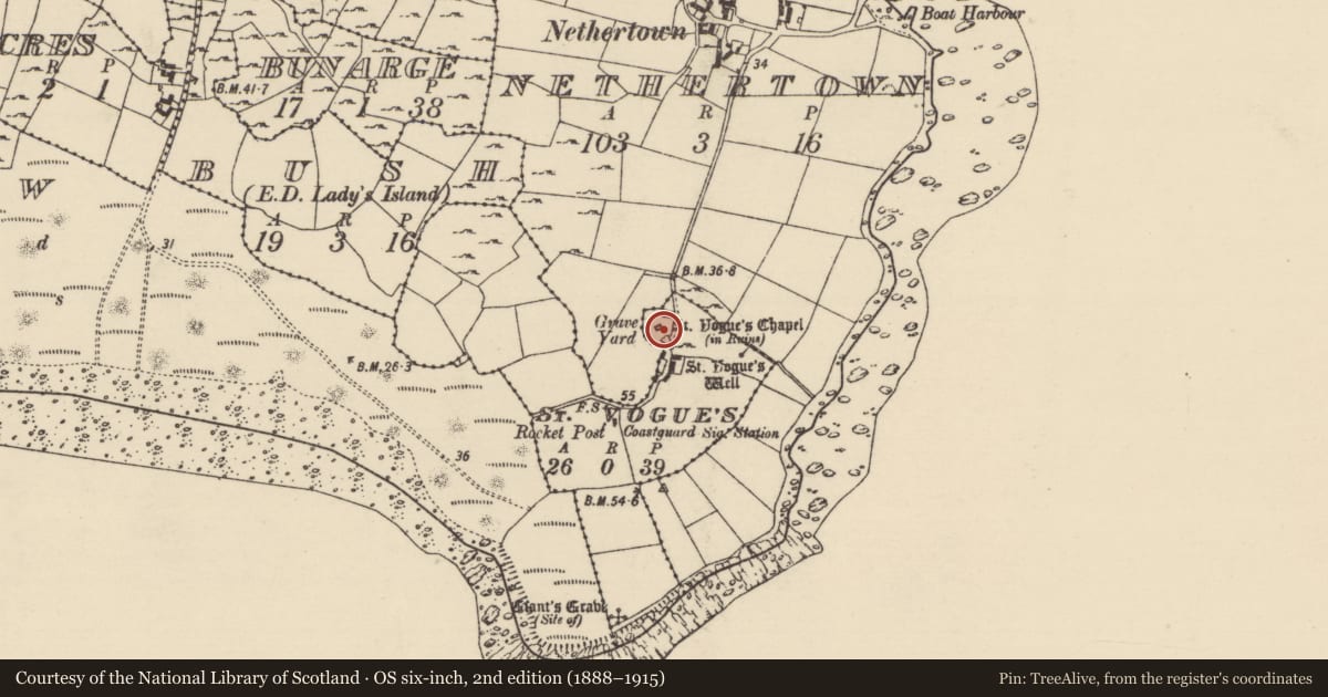 Ordnance Survey six-inch map, 2nd edition (1888–1915) covering the location of Hut site, St. Vogue'S, County Wexford, with a pin at the register's coordinates