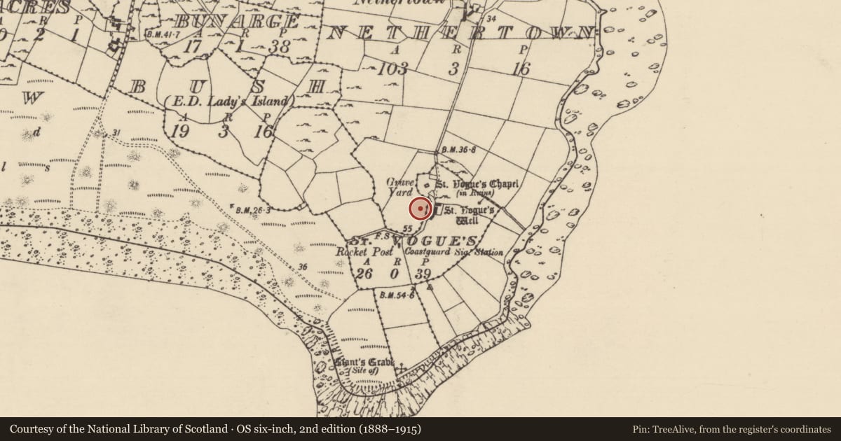 Ordnance Survey six-inch map, 2nd edition (1888–1915) covering the location of Enclosure, St. Vogue'S, County Wexford, with a pin at the register's coordinates