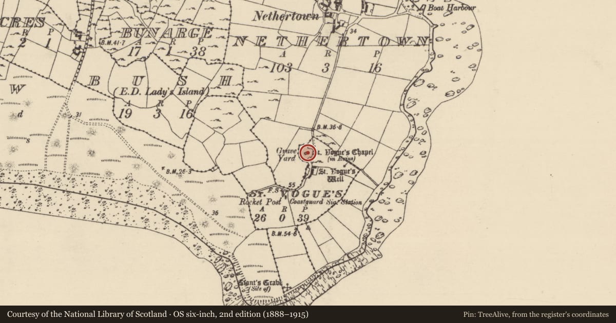 Ordnance Survey six-inch map, 2nd edition (1888–1915) covering the location of House - medieval, St. Vogue'S, County Wexford, with a pin at the register's coordinates