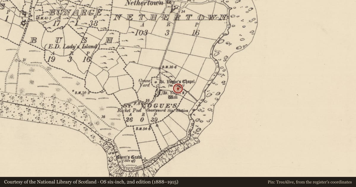 Ordnance Survey six-inch map, 2nd edition (1888–1915) covering the location of Ritual site - holy well, St. Vogue'S, County Wexford, with a pin at the register's coordinates